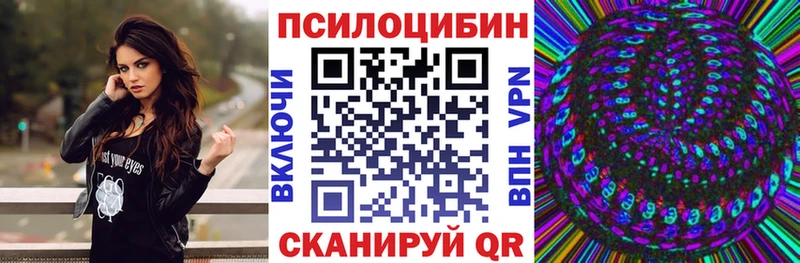 Купить закладки  Томари  Псилоцибиновые грибы Psilocybine cubensis 